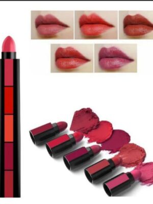 5 in 1 Matte Lipstick Set Long lasting 5 Color Multiple Shades