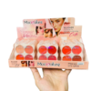 MOCALLURE blusher Make Up kit